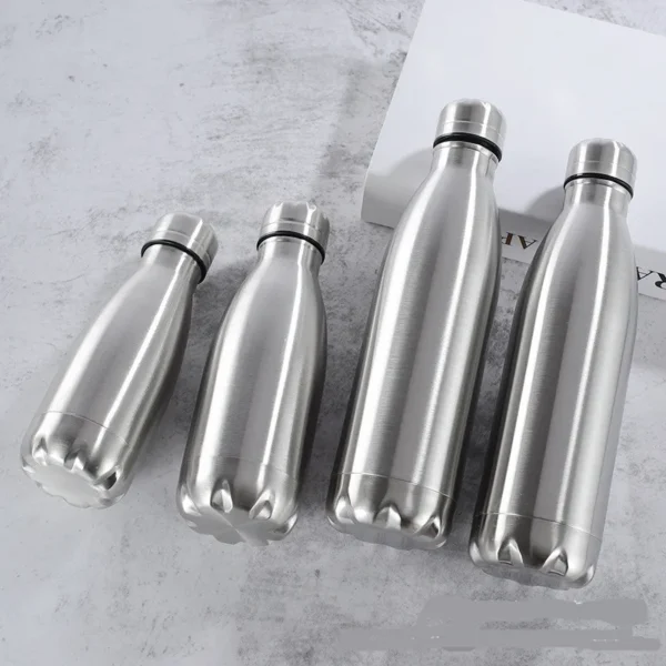 Double Wall Stainless Steel Water Bottle